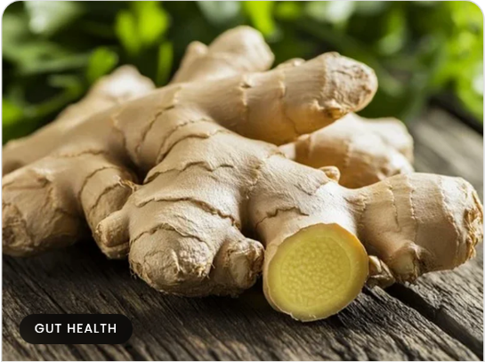 Fresh ginger root
