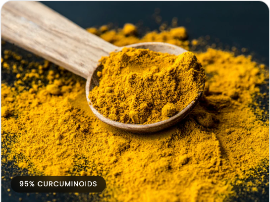 Turmeric root and concentrated turmeric powder